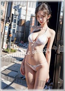 C◇ランジェリー美女101円スタート◇[高解像度]◇A4写真用光沢紙◇2507◇グラビアイラストアートポスター◇バレーバスケ筋トレチアガール