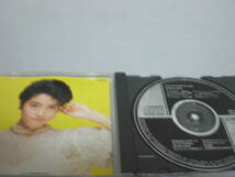 CD　荻野目洋子　POP GROOVER The Best　美品_画像1