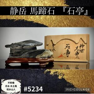 【年始初売り】 水石盆栽 静岳 馬蹄石 『石亭』桐箱付 横14.5×高7.5×奥行10(cm) 720g 骨董盆石鑑賞石観賞石太湖石 5234