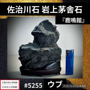 【年始初売り】 水石盆栽 佐治川石 岩上茅舎石 銘『鹿鳴館』ウブ 横13.5×高18×奥行9(cm) 1.84kg骨董盆石鑑賞石観賞石太湖石 5255