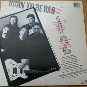 U2-231＜LP/US盤/美盤＞George Thorogood & The Destroyers / Born To Be Badの画像2