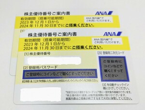 【送料無料・最新版】ANA全日空株主優待券2枚有効期限2024年11月30日まで【匿名配送】