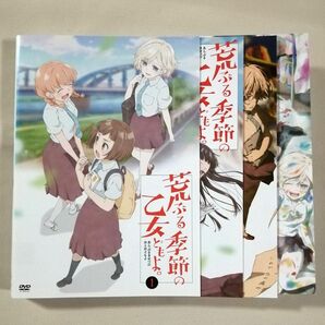 DVD 荒ぶる季節の乙女どもよ。 全巻セット（全4巻） レンタル版