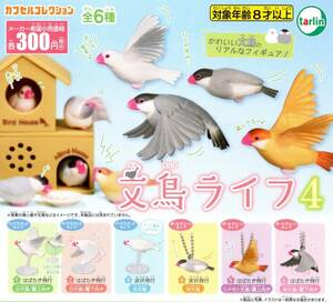 ★★★即決!文鳥ライフ4 全6種 送料120円～【総額1999円～】白文鳥/桜文鳥/シナモン文鳥/フィギュア小物/ガチャ/カプセルトイ/小鳥★★★