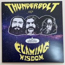 PLASTIC CRIMEWAVE SYNDICATE - thunderbolt of flaming wisdom LP サイケ ガレージロック psych acid stoner garage rock psychedelic_画像1
