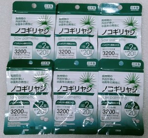 ノコギリヤシ【120日分6袋】1日2錠 長時間の外出が多い中高年の男性に 栄養機能食品 日本製 サプリメント