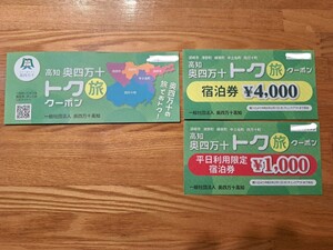 奥四万十トク旅クーポン　宿泊券5,000円分　2/1チェックアウト分まで有効