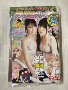 【新品未読】ヤングアニマル嵐 2017年6月1日増刊号 HKT48 松岡菜摘 & 神志那結衣 クリアファイルAver.限定付録