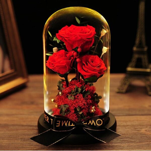新品 大切な人へのプレゼントに♪ガラスドーム プリザーブドフラワー プレゼント 永遠の花 赤いバラ 