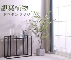 ☆観葉植物☆ 造花　ドウダンツツジ　ツツジ科　全高約150cm　フェイクグリーン　人工観葉植物　木　和風　おしゃれ