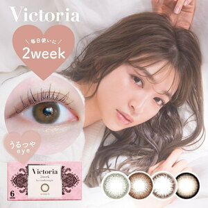 ヴィクトリア 2week by キャンディーマジック Victoria 4箱 6枚入り 度あり 度なし 2週間 カラコン キャンマジ