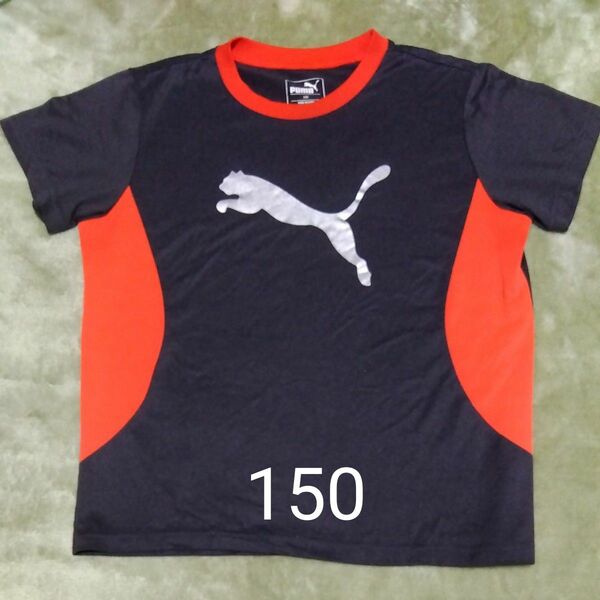 PUMA Tシャツ 150 ボーイズ ガールズ