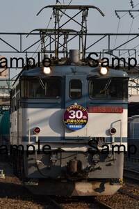 【鉄道写真】EF65 2067 JR貨物30周年HM付　更新色　＠蘇我　L版　(商品番号465)