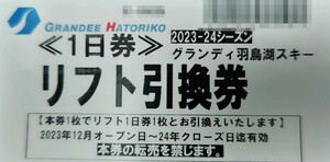 グランディ羽鳥湖スキー場土日祝日全日使用可能大人リフト1日引換券1枚価格（数量1）