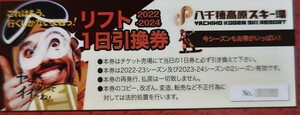 八千穂高原スキー場全日使用可能大人リフト1日引換券1枚価格（数量1）