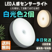 人感センサー 人感ライン 人感センサーライト 電球色 LED ワイヤレス 自動点灯 小型 ナイトライト 常夜灯 USB充電式室内 廊下玄関 _画像1