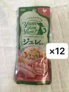 ヤムヤムヤム　ジュレ仕立て　チキン　犬　パウチ　国産　レトルト　使い切り　便利