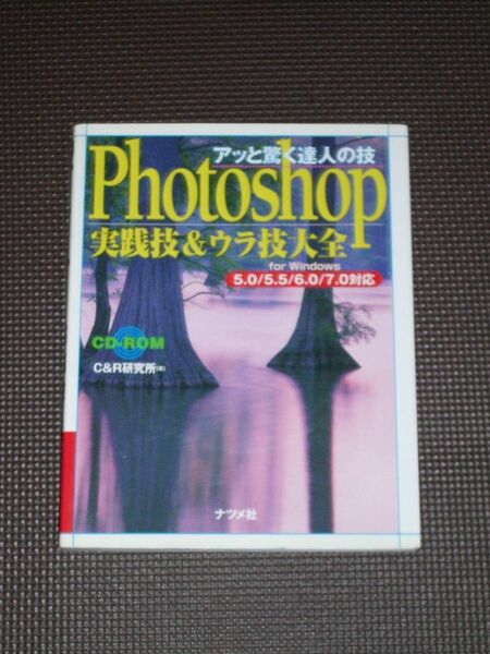 アッと驚く達人の技 Photoshop実践技&ウラ技大全 for Windows 5.0/5.5/6.0/7.0対応