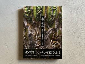 叢の視点 植物の新しい価値観を問う ｜ 小田 康平