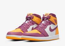 Nike Air Jordan 1 High OG Brotherhood ジョーダン1 ブラザーフッド　26.5cm_画像1