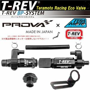 TERAMOTOｘPROVA【寺本自動車ｘプローバ】T-REV BP-SYSTEM（バイパスシステム）BRZ DBA-ZC6（FA20A）パターンD ブラック