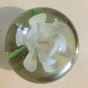 * glass paper weight ( white flower )