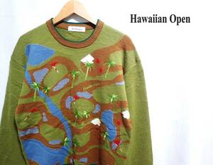 ☆デザイン素敵です　☆Hawaiian Open　☆毛100％　☆豪華刺繍　☆デザインセーター　☆プルオーバー　☆メンズ　☆L