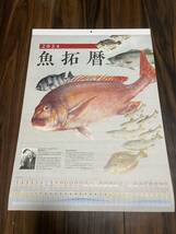 2024年 令和6年 釣具のポイント 魚拓暦カレンダー 約43cm×60cm 壁掛け 月めくりカレンダー エサ釣り ルアー釣り マダイ タチウオ ブリなど_画像1