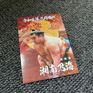 大相撲コレクション　湘南乃海