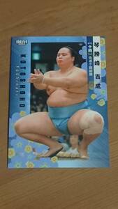 琴勝峰 2024BBM 大相撲カード #44 十両