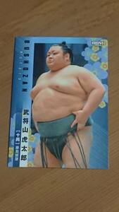 武将山 2024BBM 大相撲カード #45 十両