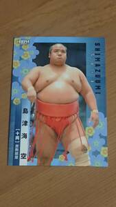 島津海 2024BBM 大相撲カード #46 十両