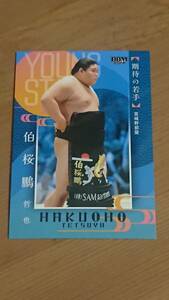 伯桜鵬 2024BBM 大相撲カード #76 期待の若手