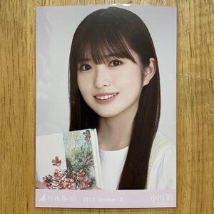 乃木坂46 小川彩 ポイント花柄ワンピース 生写真 ヨリ 1枚 検) 会場 限定 月別 2023.October-Ⅱ