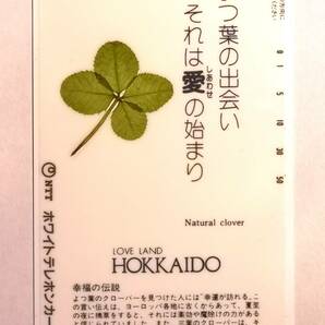 ★☆ ＜未使用＞ テレホンカード テレフォンカード テレカ LOVE LAND HOKKAIDO Natural clover ☆★の画像1