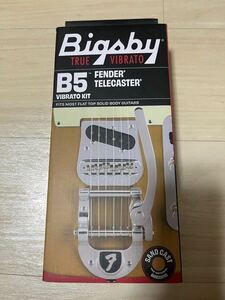 レア正規Bigsby B5 Vibrato Fender Kit