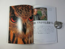 フクロウのすべてがわかる本／生態・飼育・繁殖・訓練＊送料無料_画像2