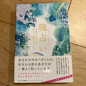 魂占い　天国で交わした魂との約束を思い出す かげした真由子／著