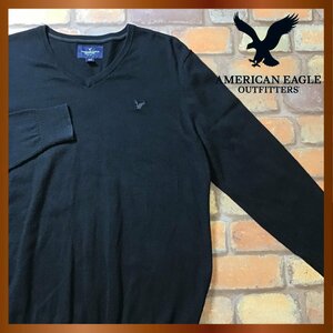 ME8-512★USA買付品&正規品★【AMERICAN EAGLE アメリカンイーグル】Vネック コットンセーター【メンズ M】黒 薄手 ニット 刺繍ロゴ