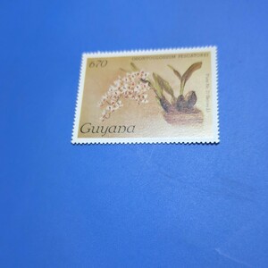 南米ガイアナのラン切手　670セント　1種　1985年　切手未使用　ヒンジ跡 なし