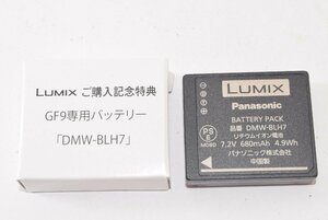 ★ほぼ新品★ Panazonic パナソニック DMW-BLH7 バッテリーパック J2401063