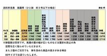 Epidendrum Porpax エピデンドラム　ポーパックス　花は見本です。　No.3 洋蘭/蘭/着生ラン/コルク/テラリウム素材/山野草_画像5