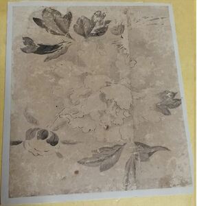 古画 花画 画帖 中国 唐物 唐画 李朝