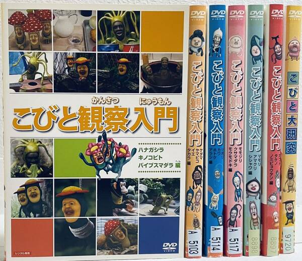 こびと観察入門　6枚　こびと大研究1枚　　　7巻セット　レンタル版DVD