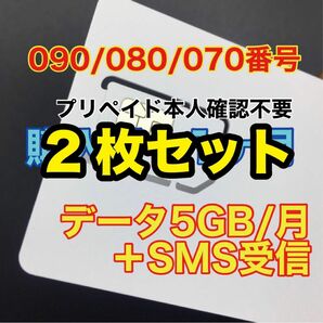 2枚セット　データ通信5GB/月　SMS受信可能SIMカード　プリペイドSIM