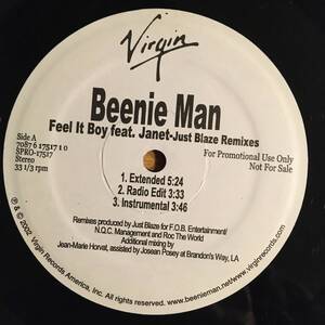 Beenie Man Feat. Janet / Feel It Boy　[Virgin - 70876 17517 1 , Virgin - SPRO-17517]