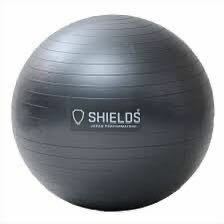 バランスボール　SHIELDS シールズ　ジムボール　65cm アンチバーストタイプ　ハンドポンプ付