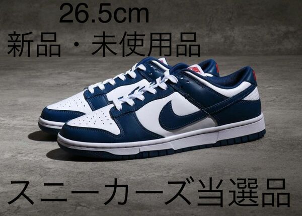 Nike Dunk Low Valerian Blue 26.5cm US8.5 バレリアンダンク