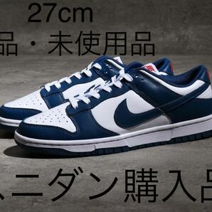 Nike Dunk Low Valerian Blue 27cm US9 バレリアンダンク