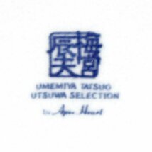 魚・趣味の皿・梅宮辰夫・橘・角皿・大皿・中皿・7点セット・No.200425-23・梱包サイズ80_画像10